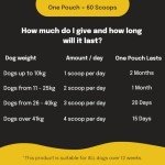 Buddy & Lola Joint Supplements for Active Dogs