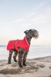 Goldpaw Waterproof Dog Jacket - Stylish All-Weather Coat
