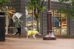 Goldpaw Waterproof Dog Jacket - Stylish All-Weather Coat