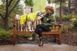 Goldpaw Waterproof Dog Jacket - Stylish All-Weather Coat