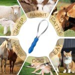 DiDiBirDi Dual-Sided Shedding Blade for Dogs