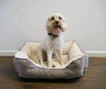 Rosewood Medium Luxury Truffle Dog Bed