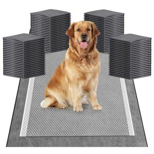 Large Dog Training Pads with Odor Control (50 Count)
