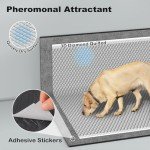 Large Dog Training Pads with Odor Control (50 Count)