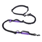 Retractable Hands-Free Dog Leash with Dual Bungees