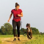 Retractable Hands-Free Dog Leash with Dual Bungees