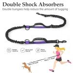 Retractable Hands-Free Dog Leash with Dual Bungees