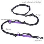 Retractable Hands-Free Dog Leash with Dual Bungees