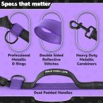 Retractable Hands-Free Dog Leash with Dual Bungees