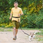 Retractable Hands-Free Dog Leash with Dual Bungees