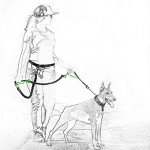 Retractable Hands-Free Dog Leash with Dual Bungees