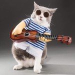 Funny Halloween Dog Guitar Costume Outfit