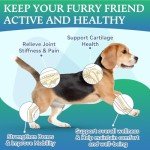 Hip & Joint Treats for Dogs - 200 Chews