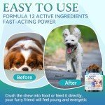 Hip & Joint Treats for Dogs - 200 Chews