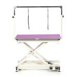 Pedigroom Electric Dog Grooming Table - Purple