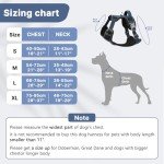 Belababy Adjustable Anti-Pull Dog Harness - Dark Blue