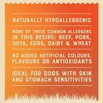 James Wellbeloved Grain-Free Wet Dog Food Cans