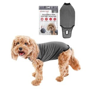 BellyGuard Dog Recovery Suit for After Surgery