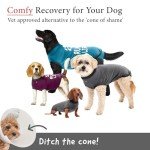 BellyGuard Dog Recovery Suit for After Surgery