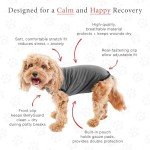 BellyGuard Dog Recovery Suit for After Surgery