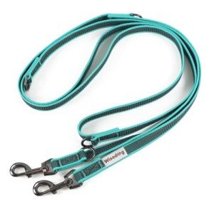 Wisedog 3m Lake Green Hands-Free Dog Lead