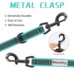 Wisedog 3m Lake Green Hands-Free Dog Lead