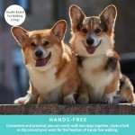 Wisedog 3m Lake Green Hands-Free Dog Lead