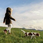 Wisedog 3m Lake Green Hands-Free Dog Lead