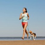 Wisedog 3m Lake Green Hands-Free Dog Lead