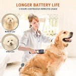 Gimars 3-in-1 Cordless Dog Grooming Clippers Kit