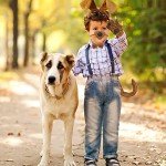 Cindeer 5-Piece Dog Costume Set for Halloween