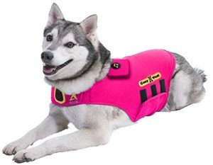 CozyVest 3-in-1 Stress Relief Dog Jacket