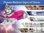 CozyVest 3-in-1 Stress Relief Dog Jacket