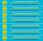 CozyVest 3-in-1 Stress Relief Dog Jacket