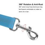 Adjustable Dog Car Seat Belt with Bungee Buffer