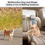Adjustable Dog Car Seat Belt with Bungee Buffer