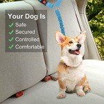 Adjustable Dog Car Seat Belt with Bungee Buffer