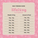 Lifelong Salmon & Rice Dry Dog Food, 5kg