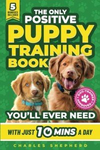 Essential Puppy Training Guide for Happy Dogs