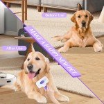 Self-Cleaning Slicker Brush for Dogs and Cats