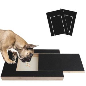 Multifunctional Dog Scratch Pad with Snack Box
