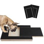 Multifunctional Dog Scratch Pad with Snack Box