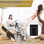 Multifunctional Dog Scratch Pad with Snack Box