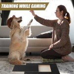 Multifunctional Dog Scratch Pad with Snack Box