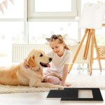 Multifunctional Dog Scratch Pad with Snack Box