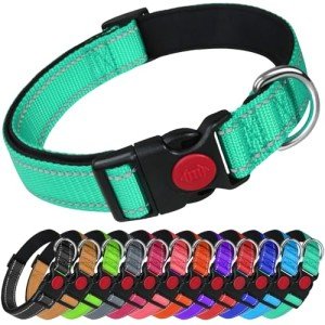 Reflective Dog Collar with Safety Buckle - Small