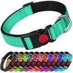 Reflective Dog Collar with Safety Buckle - Small