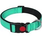 Reflective Dog Collar with Safety Buckle - Small