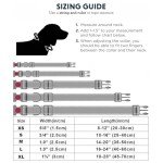 Reflective Dog Collar with Safety Buckle - Small