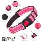 Reflective Dog Collar with Safety Buckle - Small